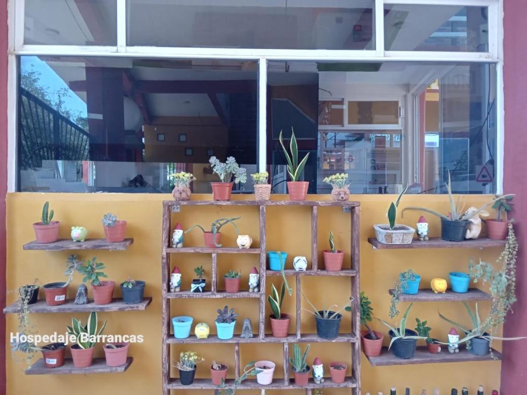 Hospedaje Barrancas 호텔 Cosoleacaque 외부 사진